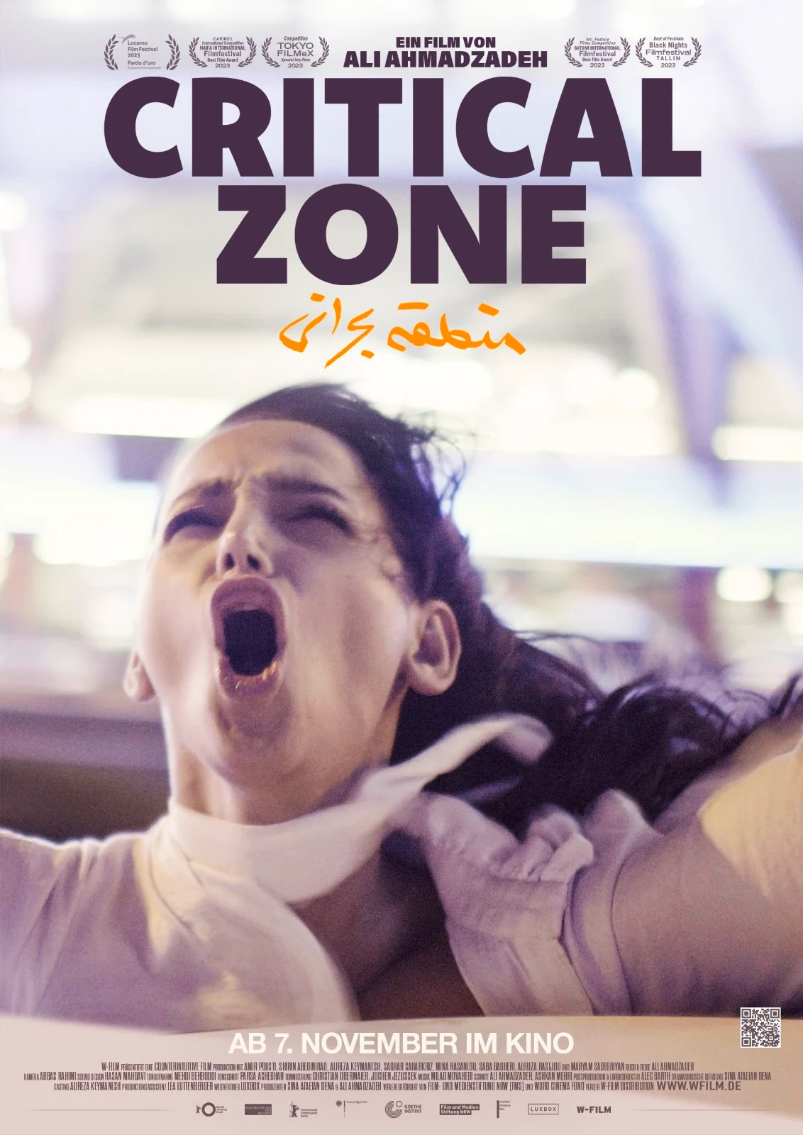 Filmplakat: Critical Zone